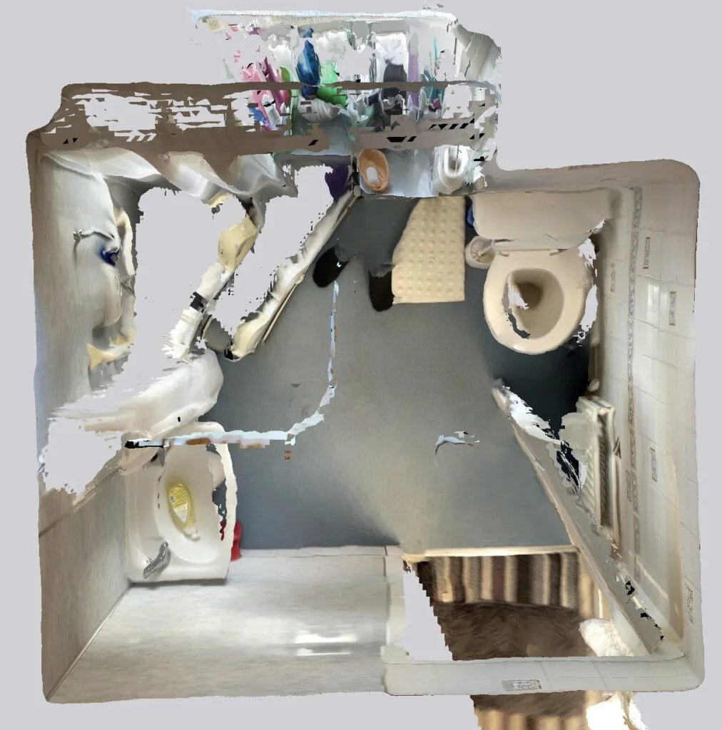 Original bathroom scan view