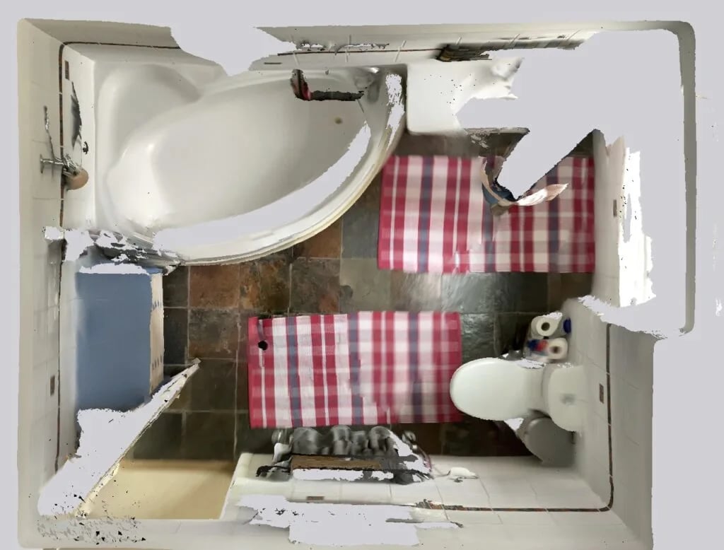 Original bathroom scan view