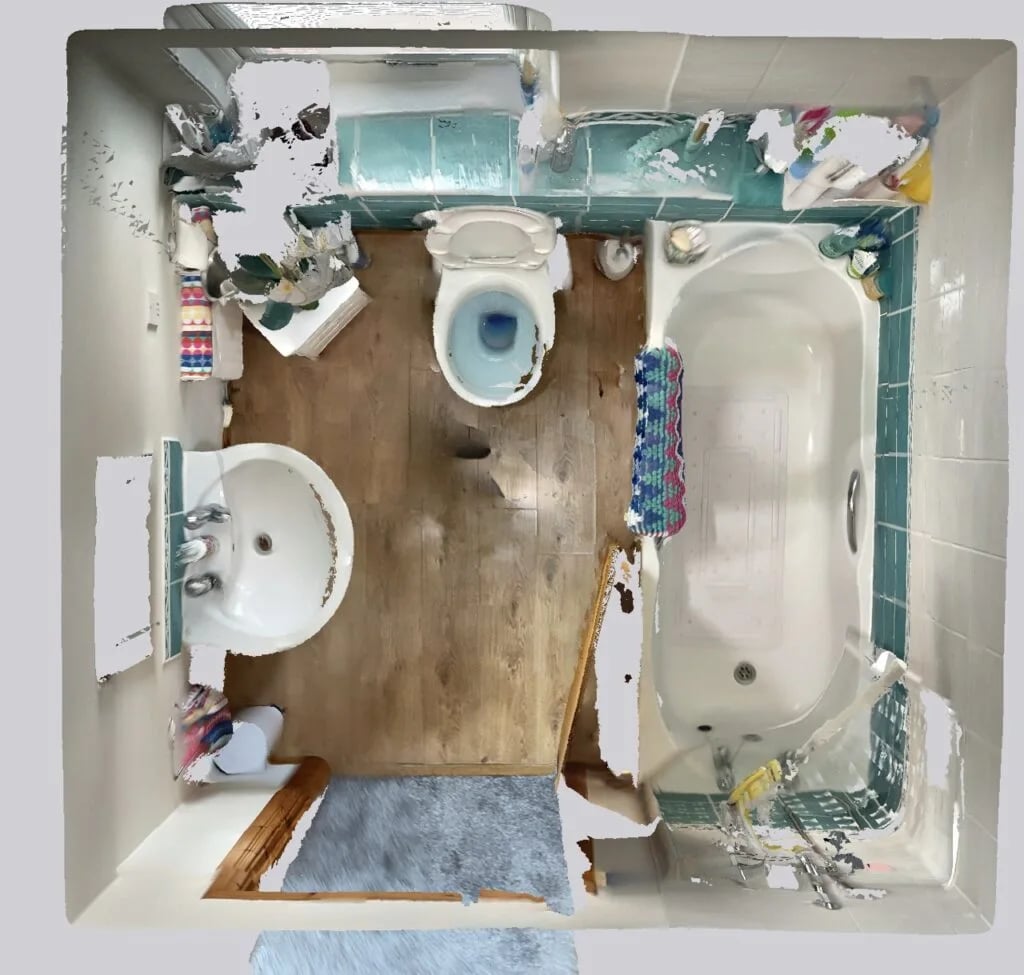 Original bathroom scan view