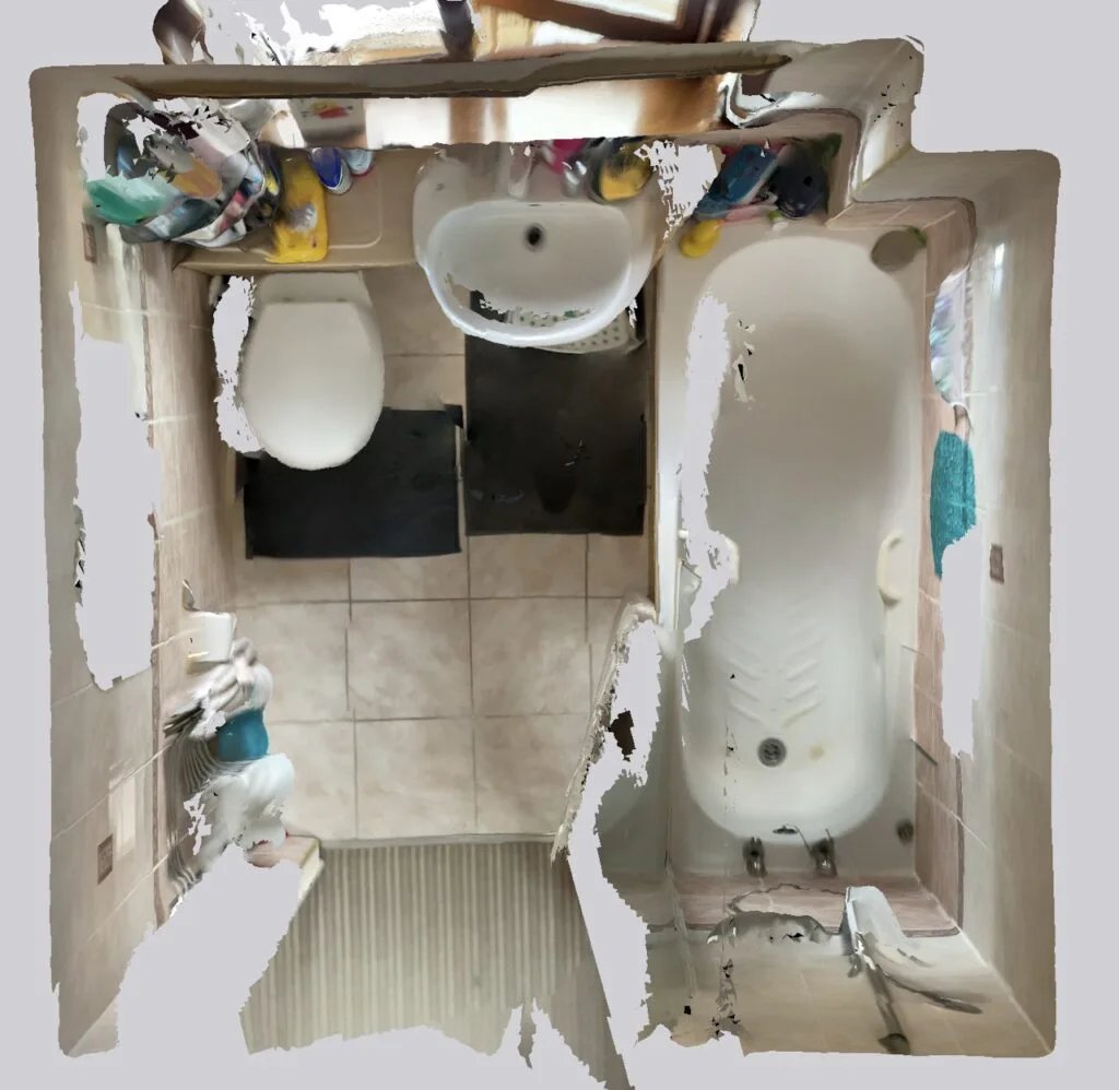Original bathroom scan view
