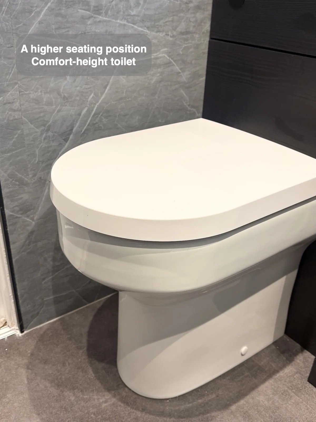 Comfort-height back-to-wall toilet