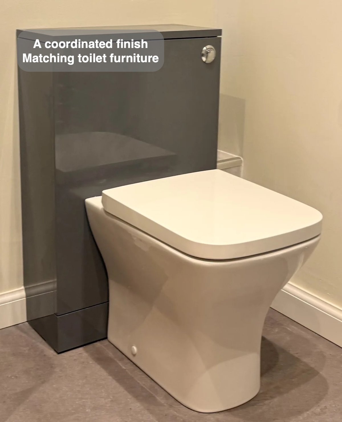 Back-to-wall toilet and grey unit