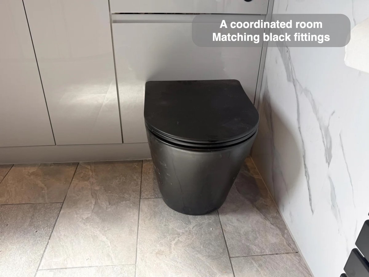 Black toilet beside pale fitted cabinets