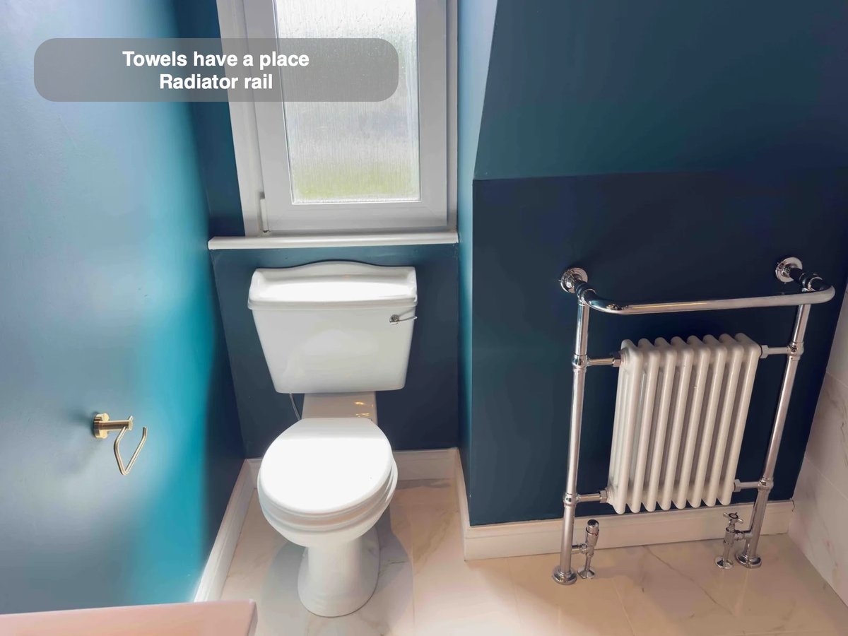 Toilet beneath window beside traditional radiator