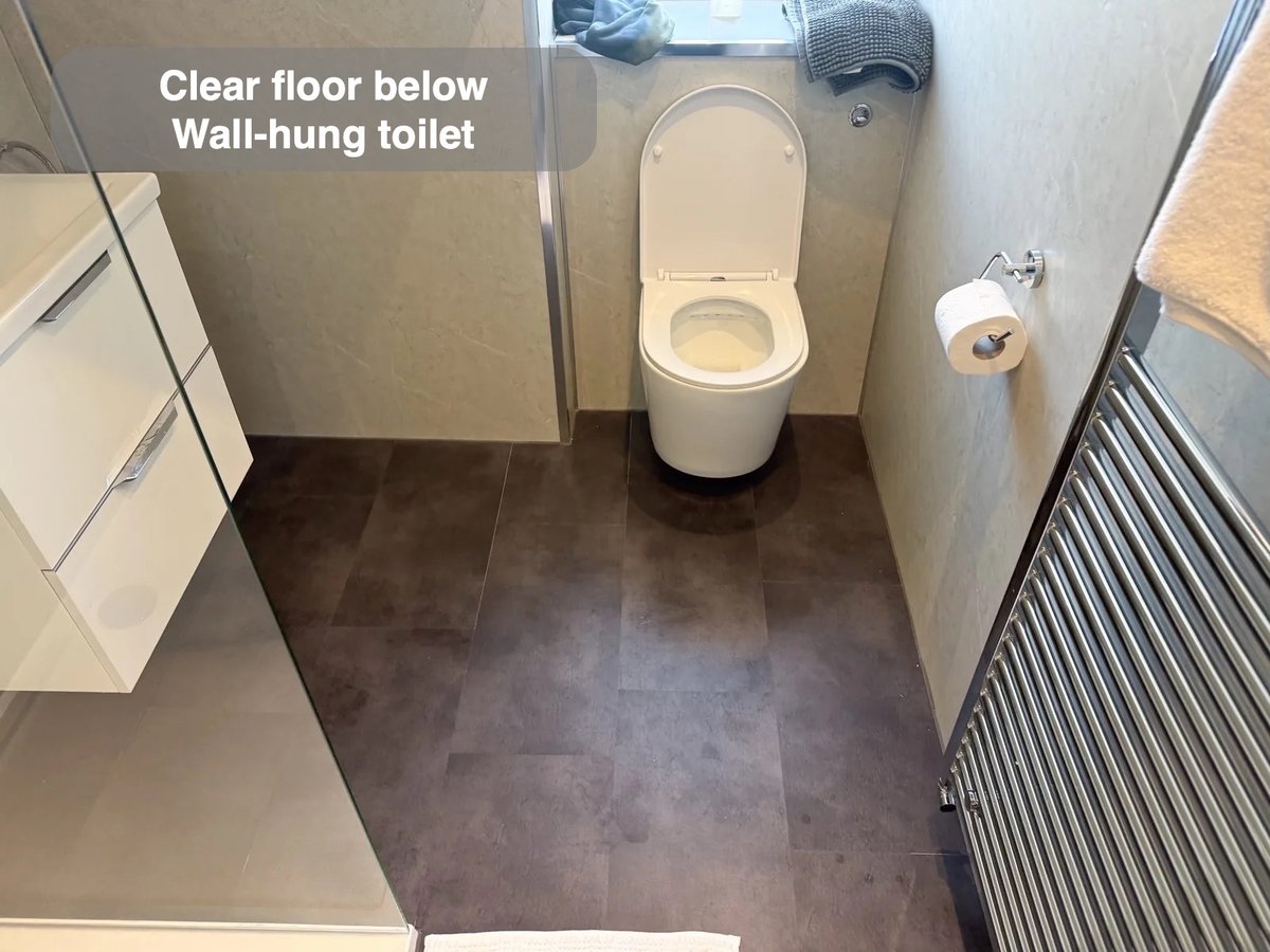 Wall-hung toilet