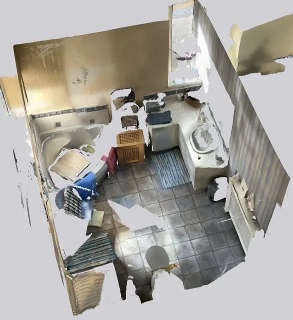 Original bathroom scan view
