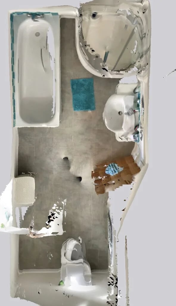Original bathroom scan view