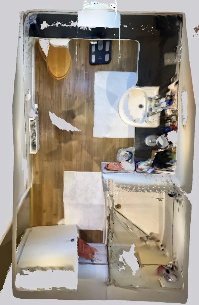 Original bathroom scan view