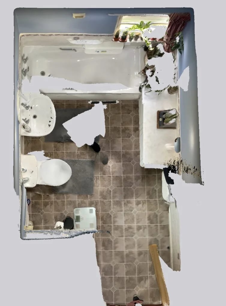 Original bathroom scan view