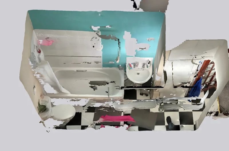 Original bathroom scan view