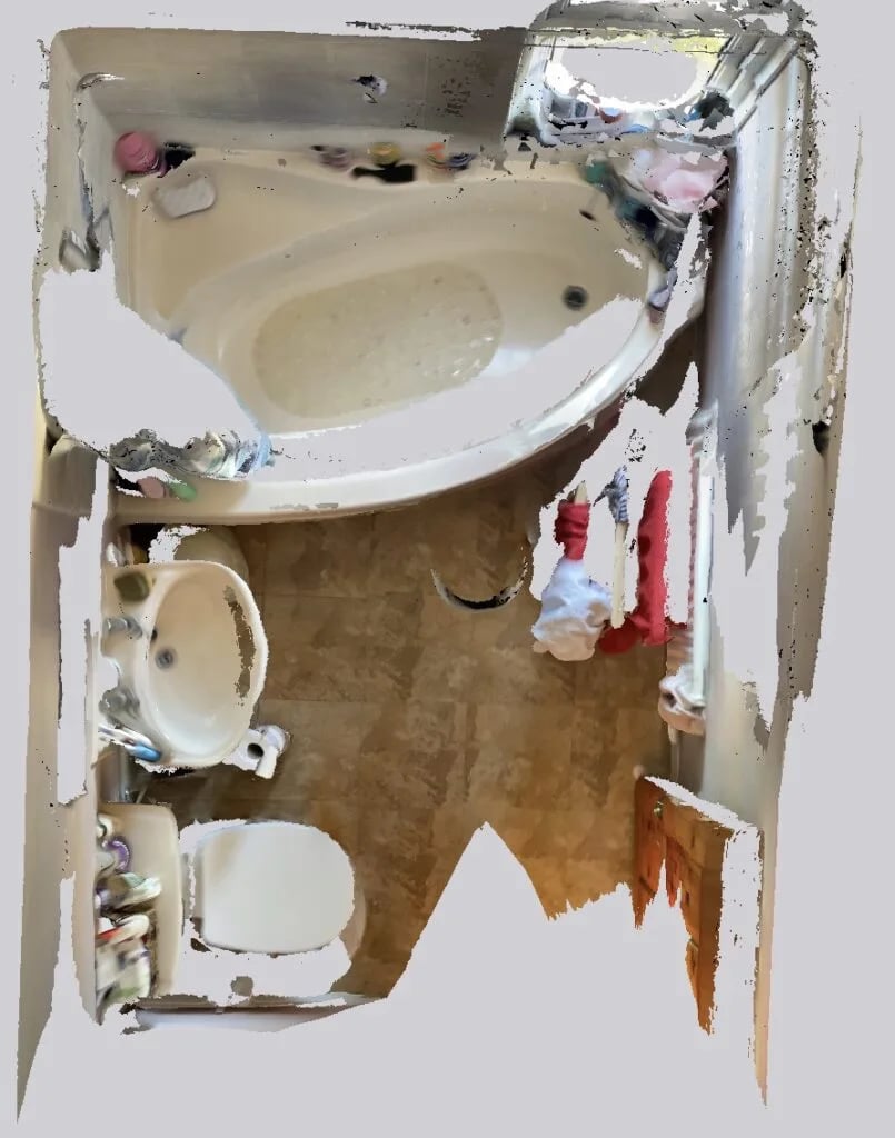 Original bathroom scan view